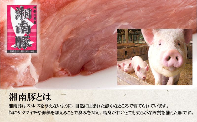 湘南豚　切り落し　1.5kg【神奈川県産豚】 豚肉 切り落とし 国産 肉 ポーク 小分け 250g 冷凍  生姜焼き 野菜炒め 豚汁 豚丼 人気 おすすめ 藤沢市