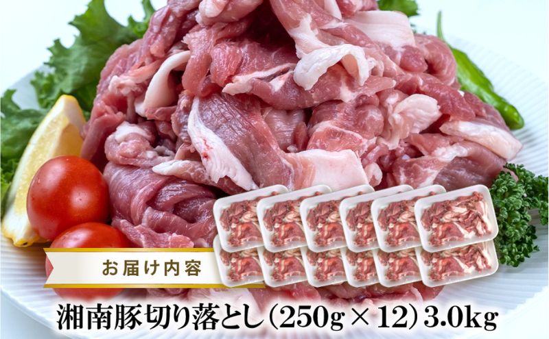 湘南豚　切り落し　3.0kg【神奈川県産豚】 豚肉 切り落とし 国産 肉 ポーク 小分け 250g 冷凍 生姜焼き 野菜炒め 豚汁 豚丼 人気 おすすめ 藤沢市