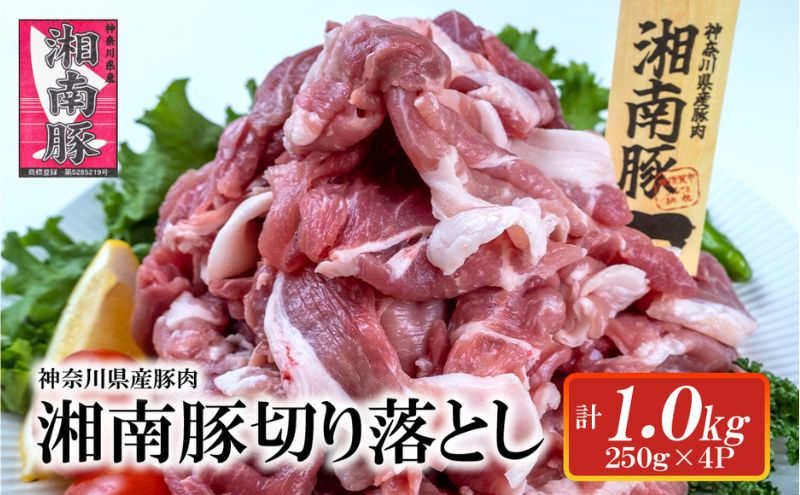 湘南豚　切り落し　1.0kg【神奈川県産豚】 豚肉 切り落とし 国産 肉 ポーク 小分け 250g 冷凍 生姜焼き 野菜炒め 豚汁 豚丼 人気 おすすめ 藤沢市