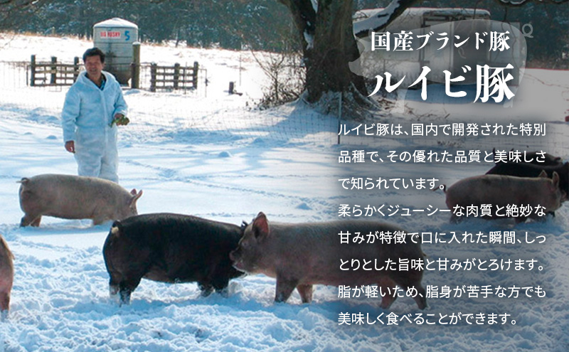 3カ月定期便 餃子 湘南 生 ぎょうざ 20g×200個 大容量 セット 生餃子 ルイビ豚 冷凍餃子 ブランド豚 ギョーザ おかず 総菜 おつまみ つまみ ごはんのお供 中華 お取り寄せ 焼き餃子 冷凍