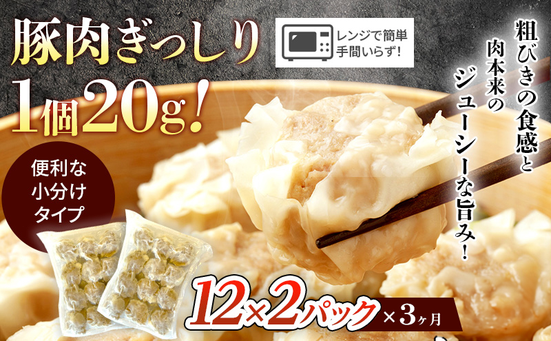 3カ月定期便 餃子 湘南 ぎょうざ 100個 + しゅうまい 24個 大容量 セット 生餃子 ルイビ豚 冷凍餃子 おかず 総菜 おつまみ お弁当 冷凍 神奈川 藤沢