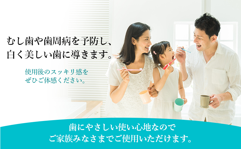 【定期便 4回 隔月】ヤクルト 薬用アパコートS.E.  歯磨き 歯磨き粉 薬用歯磨き粉 アパコート S.E. 予防 口臭 歯肉炎 歯槽膿漏 虫歯 歯 再石灰化 デンタルケア 歯みがき はみがき