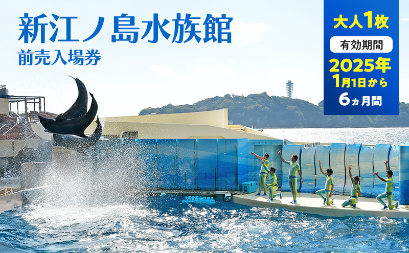 チケット 神奈川 【新江ノ島水族館】前売入場券（大人1枚）有効期間2025年1月1日～6ヵ月間 水族館 前売 入場券 江ノ島 藤沢市 神奈川県 プレゼント ギフト