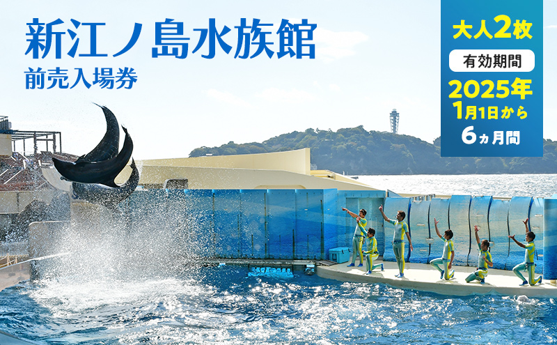 チケット 神奈川 【新江ノ島水族館】前売入場券（大人2枚）有効期間2025年1月1日～6ヵ月間 水族館 前売 入場券 江ノ島 藤沢市 神奈川県 プレゼント ギフト