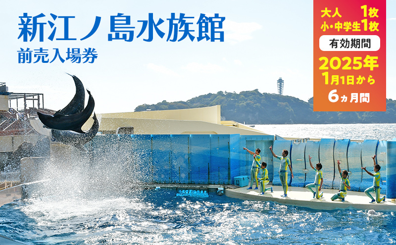 チケット 神奈川 【新江ノ島水族館】前売入場券（大人1枚、小・中学生1枚）有効期間2025年1月1日～6ヵ月間 水族館 前売 入場券 江ノ島 藤沢市 神奈川県 プレゼント ギフト