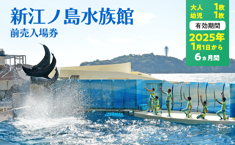 チケット 神奈川 【新江ノ島水族館】前売入場券（大人1枚、幼児1枚）有効期間2025年1月1日～6ヵ月間 水族館 前売 入場券 江ノ島 藤沢市 神奈川県 プレゼント ギフト