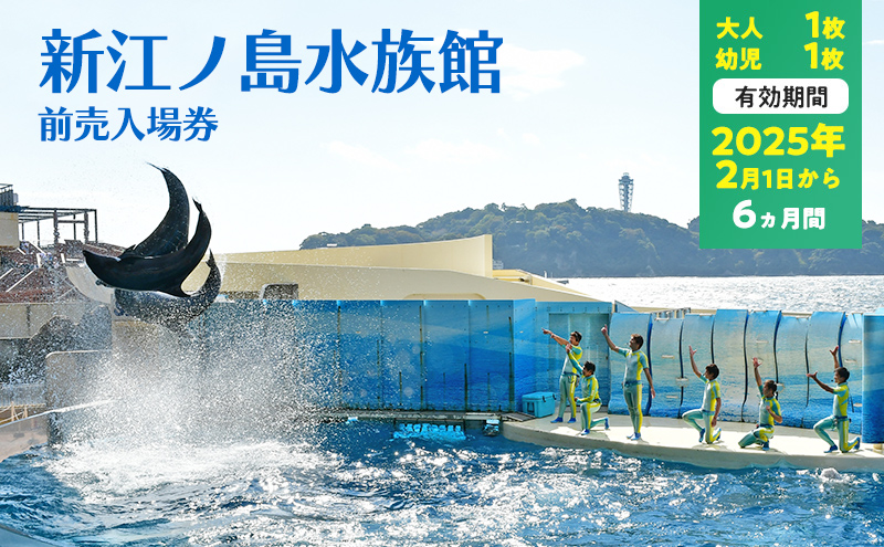 チケット 神奈川 【新江ノ島水族館】前売入場券（大人1枚、幼児1枚）有効期間2025年2月1日～6ヵ月間 水族館 前売 入場券 江ノ島 藤沢市 神奈川県 プレゼント ギフト