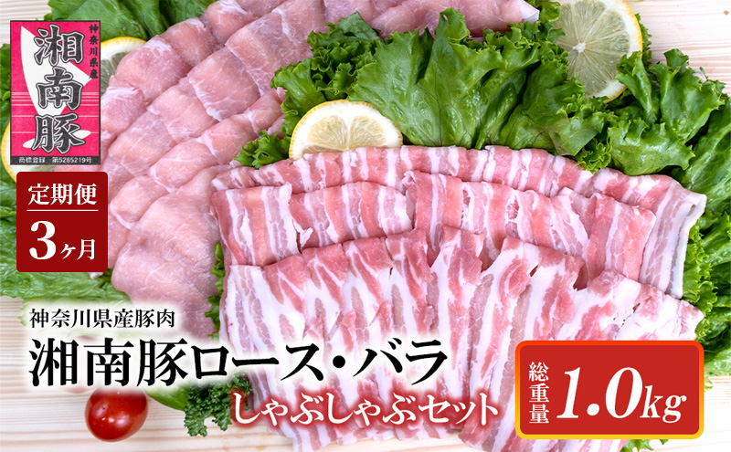 【3ヵ月 定期便】湘南豚　ロース・バラしゃぶしゃぶセット【神奈川県産豚】 豚肉 ロース 薄切り バラ しゃぶしゃぶ 国産 肉 ポーク 冷凍 人気 おすすめ 藤沢市