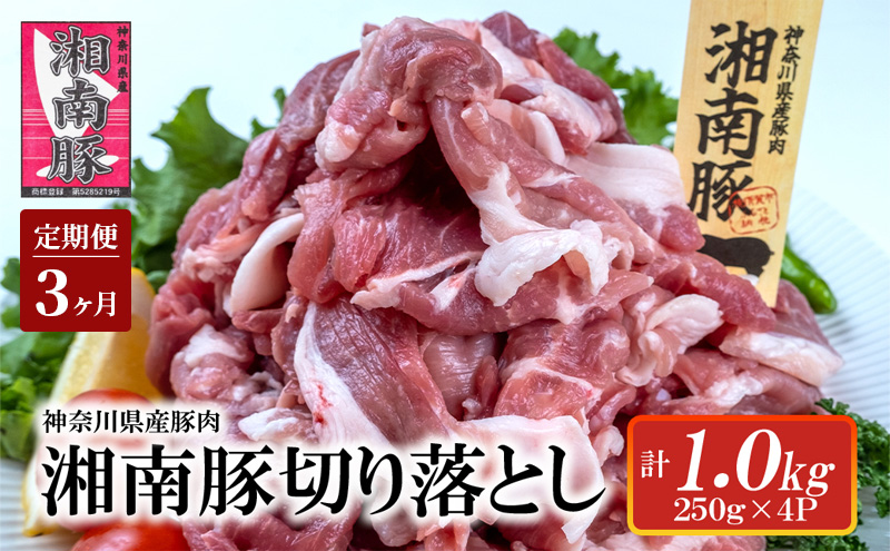 【3ヵ月 定期便】湘南豚　切り落し　1.0kg【神奈川県産豚】 豚肉 切り落とし 国産 肉 ポーク 小分け 250g 冷凍 生姜焼き 野菜炒め 豚汁 豚丼 人気 おすすめ 藤沢市