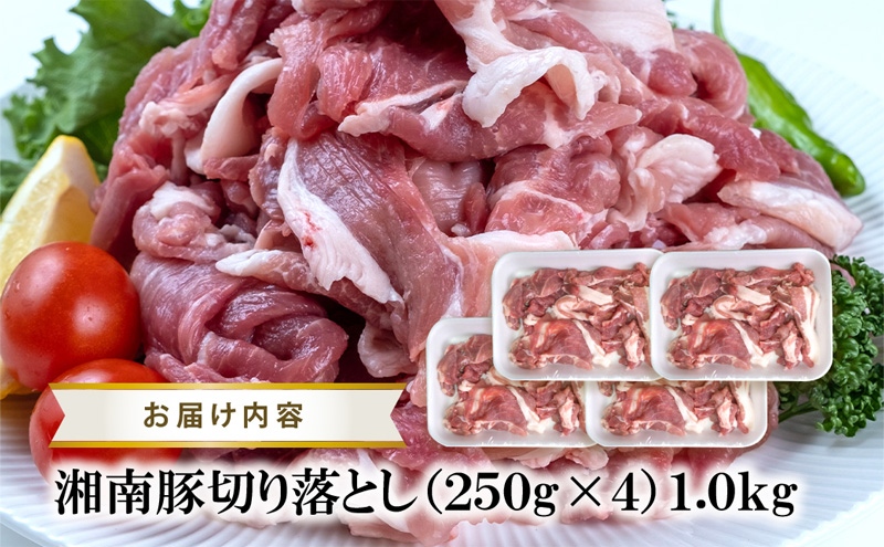 【3ヵ月 定期便】湘南豚　切り落し　1.0kg【神奈川県産豚】 豚肉 切り落とし 国産 肉 ポーク 小分け 250g 冷凍 生姜焼き 野菜炒め 豚汁 豚丼 人気 おすすめ 藤沢市