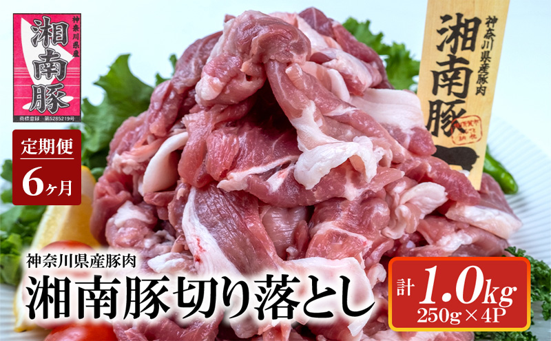 【6ヵ月 定期便】湘南豚　切り落し　1.0kg【神奈川県産豚】 豚肉 切り落とし 国産 肉 ポーク 小分け 250g 冷凍 生姜焼き 野菜炒め 豚汁 豚丼 人気 おすすめ 藤沢市