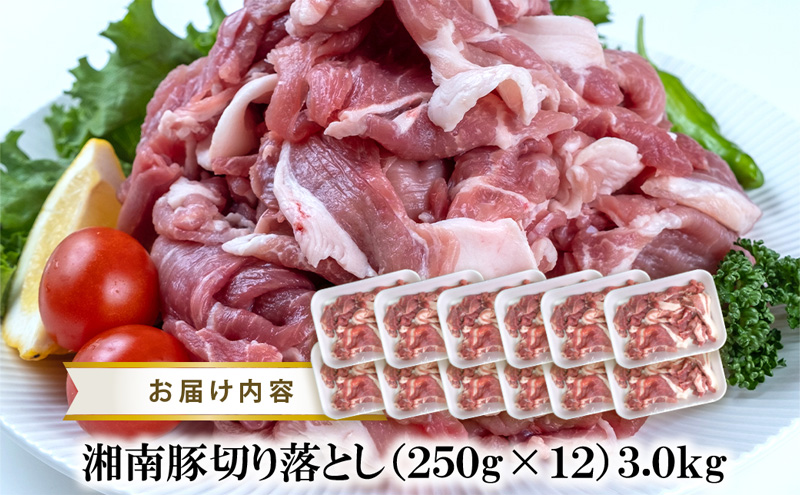 【3ヵ月 定期便】湘南豚　切り落し　3.0kg【神奈川県産豚】 豚肉 切り落とし 国産 肉 ポーク 小分け 250g 冷凍 生姜焼き 野菜炒め 豚汁 豚丼 人気 おすすめ 藤沢市