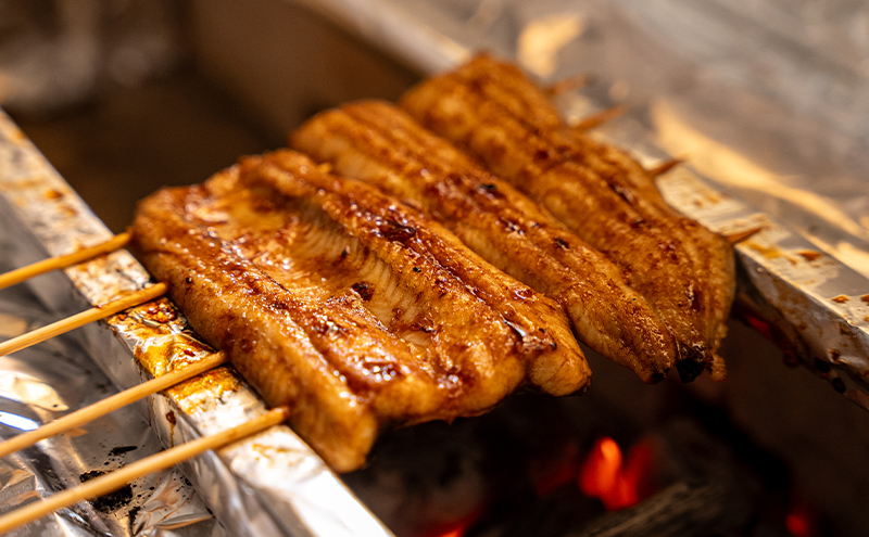 共水うな重 うな重 国産うなぎ 蒲焼き 鰻 国産 冷凍 うなぎ うなぎ蒲焼 鰻の蒲焼き 藤沢市 神奈川