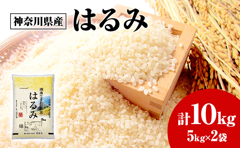 神奈川県産はるみ 5kg×2 白米 精米 米 はるみ 10kg 藤沢市 神奈川