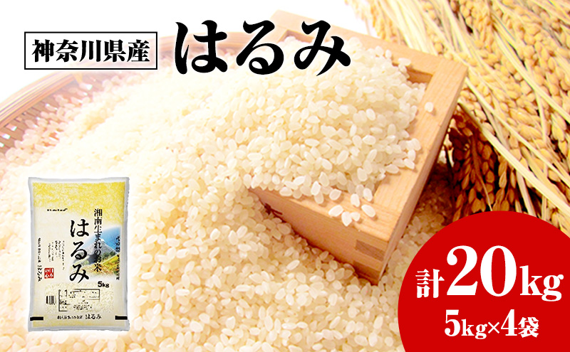 神奈川県産はるみ 5kg×4 白米 精米 米 はるみ 20kg 藤沢市 神奈川