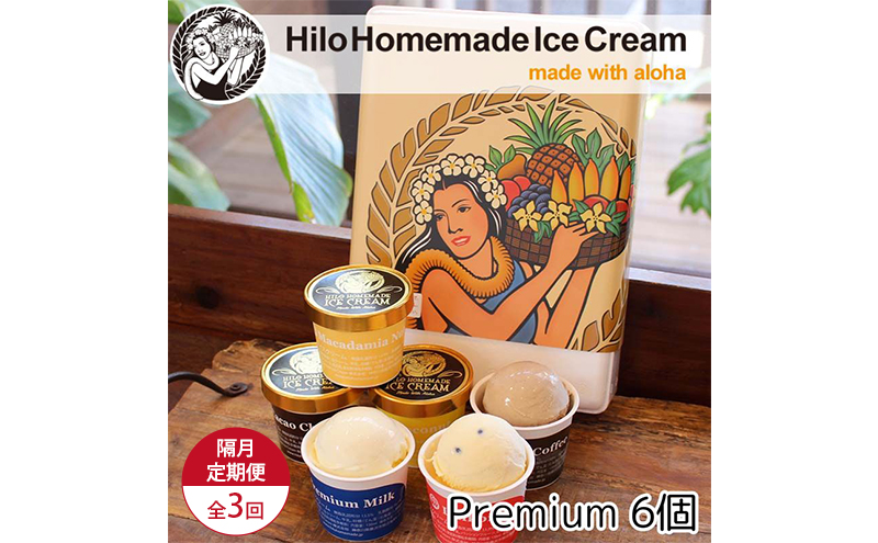 【定期便 3回 隔月】 Hilo Homemade Ice Cream プレミアムアイスクリーム 6個 ヒロホームメイドアイス 手づくり 鵠沼海岸