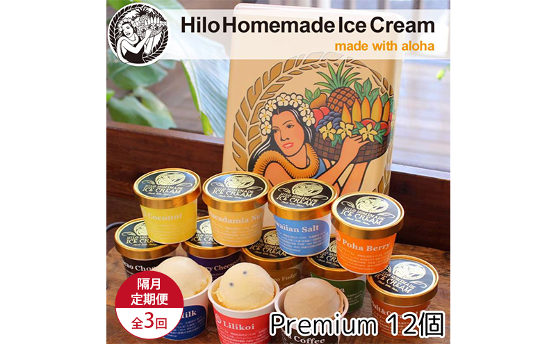 【定期便 3回 隔月】 Hilo Homemade Ice Cream プレミアムアイスクリーム 12個 ヒロホームメイドアイス 手づくり 鵠沼海岸