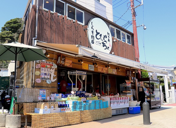 しらす問屋とびっちょ ペアお食事券（2名様1組分）江の島 江ノ島