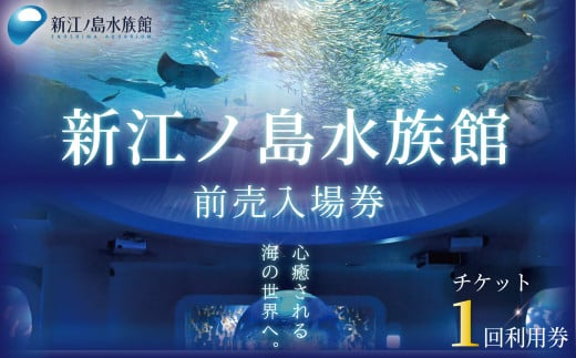 新江ノ島水族館 チケット 前売 入場券 大人1枚 有効期間 チケット 水族館 イルカショー 利用券 引換券 券 体験チケット 体験型 アクティビティ 入場券 前売り券 動物 家族 旅行 観光 トラベル 関東 江の島 江ノ島 すいぞくかん レジャー プレゼント ギフト 株式会社新江ノ島水族館 神奈川 湘南 藤沢