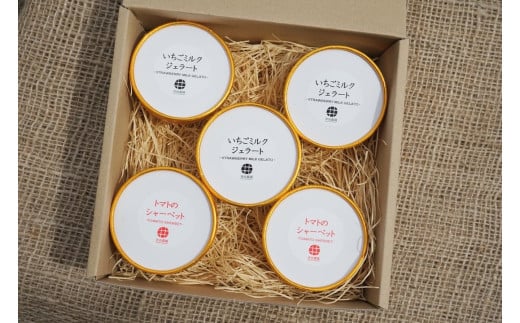 いちご＆トマトのアイス 5個 セット イチゴ ミルク ジェラート シャーベット サニーオレンジ 苺 ミニトマト 濃厚 完熟 爽やか さっぱり 野菜 やさい 果物 くだもの フルーツ 甘み 酸味 味わい リコピン ビタミンC 美容 オリジナル 井出農園 神奈川 湘南 藤沢