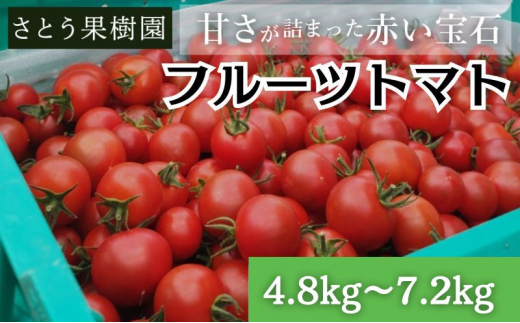 フルティカ フルーツトマト 高糖度 4.8kg～7.2kg ミニトマト トマト 完熟 高品質 甘い 極上 旨味 とまと プチ tomato 野菜 やさい yasai ハウストマト ハウス栽培 サラダ ビタミン C リコピン 美肌 美容 健康 食物繊維 産地直送 国産 神奈川 湘南 藤沢