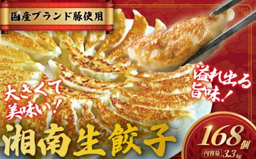 餃子 ぎょうざ 168個 (42個 × 4 パック) 肉汁たっぷり 大きい 国産 ブランド豚 ルイビ豚 小分け 豚肉 野菜 湘南餃子 湘南ぎょうざ 焼き餃子 gyouza ギョーザ 冷凍餃子 生餃子 冷凍 ご飯 おかず 冷凍食品 中華 おつまみ 簡単調理 時短 簡易包装 手作り餃子 サノフーズ 神奈川 湘南 藤沢