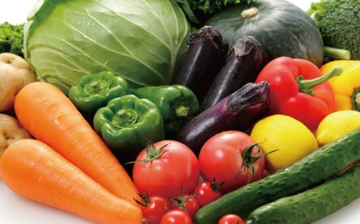 朝採れ 新鮮 野菜 セット 約 5kg 種類おまかせ 旬 やさい yasai ヤサイ 野菜セット やさいセット 旬の野菜 お野菜 栽培 自然 春野菜 夏野菜 秋野菜 冬野菜 おまかせ 数量限定 農家直送 産地直送 マルシェ トマト さつまいも サツマイモ とうもろこし コーン 神奈川 湘南 藤沢 フロムベジ湘南