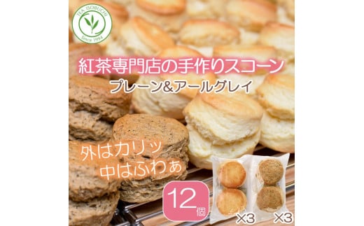 スコーン 12個 セット 2種 ( プレーン 6個 アールグレイ 6個 ) 焼き菓子 お菓子 焼菓子 おやつ 洋菓子 デザート スイーツ 人気 発酵 バター コク 風味 すこーん 常温 ミルクティー 手土産 ギフト プレゼント 手作り 紅茶 茶 専門店 ティー イソブチカンパニー 神奈川 湘南 藤沢