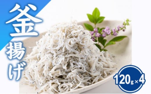 しらす 480g 釜揚げしらす 120g × 4パック シラス 魚 釜揚げ 湘南しらす sirasu じゃこ ちりめん しらす干し 江の島しらす イワシ 小分け 便利 手軽 海鮮 新鮮 魚介 魚貝 小魚 ごはん 米 おかず 海鮮丼 冷凍 無着色 贈答 人気 江の島 江ノ島 とびっちょ 神奈川 湘南 藤沢