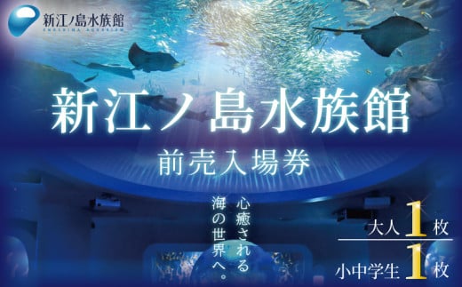 入場券 水族館 チケット 新江ノ島水族館  前売券 ( 大人 1枚、小・中学生 1枚 ) 江ノ島 江の島 えのすい 利用券 券 体験チケット イルカショー 体験型 アクティビティ 前売り券 お出かけ 子ども 家族 旅行 観光 トラベル 関東 すいぞくかん レジャー 株式会社新江ノ島水族館 神奈川 湘南 藤沢