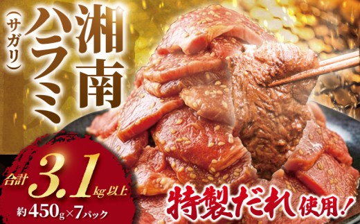 ハラミ タレ漬け 計 3.1kg 以上  ( 約450g × 7 パック ) はらみ 厚み 牛 牛肉 肉 お肉 焼き肉 焼肉 味付けダレ さがり サガリ 牛肉ハラミ ビーフ ぎゅうにく おいしい やわらかい 美味 ハラミ 牛ハラミ 牛はらみ 焼肉ハラミ はらみ 肉 niku 小分け 20000円 大容量 個包装 簡単調理 BBQ おかず 冷凍 タカギフーズ 神奈川 湘南 藤沢