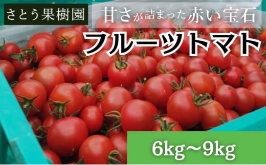 フルティカ フルーツトマト 高糖度 6kg～9kg ミニトマト トマト 完熟 高品質 甘い 極上 旨味 とまと プチ tomato 野菜 やさい yasai ハウストマト ハウス栽培 サラダ ビタミン C リコピン 美肌 美容 健康 食物繊維 産地直送 国産 神奈川 湘南 藤沢
