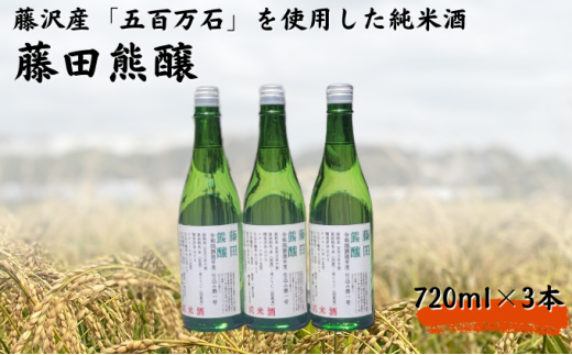 日本酒 純米酒 720ml 3本 酒造 鮮魚 魚介 海鮮 刺し身 串揚げ お取り寄せ 鮮魚 魚介 海鮮 白身魚 プレゼント ギフト 銘酒 贈り物 贈答 家飲み 晩酌 お中元 お歳暮 記念日 父の日 ふるさと納税日本酒 神奈川 湘南 藤沢