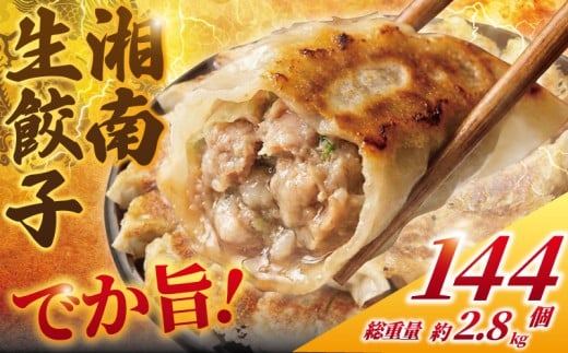 餃子 ぎょうざ 144個 (48個 × 3 パック) 肉汁たっぷり 大きい 国産 ブランド豚 ルイビ豚 小分け 豚肉 野菜 肉 湘南餃子 湘南ぎょうざ 焼き餃子 gyouza ギョーザ 冷凍餃子 生餃子 冷凍 ご飯 おかず 冷凍食品 中華 おつまみ 簡単調理 時短 簡易包装 手作り餃子 サノフーズ 神奈川 湘南 藤沢