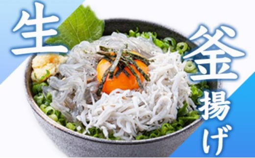 生しらす 釜揚げしらす 計920g 260g × 2 パック 100g × 4 パック シラス 魚 釜揚げ 生 湘南しらす sirasu じゃこ ちりめん しらす干し 江の島しらす イワシ 小分け 便利 手軽 海鮮 新鮮 魚介 魚貝 小魚 冷凍 セット 贈答 江の島 江ノ島 とびっちょ 神奈川 湘南 藤沢