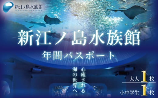 水族館 チケット 新江ノ島水族館 年間 パスポート 引換券 大人 1枚 + 小・中学生 1枚 江ノ島 江の島 えのすい 利用券 券 体験チケット イルカショー 体験型 アクティビティ 入場券 前売り券 お出かけ 家族 旅行 観光 トラベル 関東 すいぞくかん レジャー 株式会社新江ノ島水族館 神奈川 湘南 藤沢