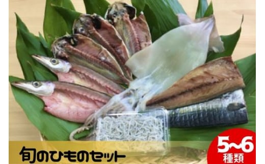 干物 旬の魚 5～6種 セット 旬 国産 ひもの セット 詰め合わせ 海鮮 魚 魚介 海の幸 ヒモノ himono 干し 自家製造 焼魚 焼き魚 さかな サカナ おつまみ 弁当 惣菜 おかず ご飯 ご飯のお供 冷蔵 母の日 父の日 プレゼント ギフト 贈り物 贈答 夜ご飯 鈴伝商店 神奈川 湘南 藤沢