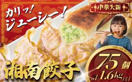 ぎょうざ 餃子 75個 ( 25個 × 3 パック ) ギョーザ ギョウザ 冷凍餃子 冷凍食品 生餃子 冷凍 肉汁 大きい 小分け パック 豚肉 ぶた 野菜 焼き餃子 gyouza ご飯 おかず 夕食 おつまみ つまみ 晩酌 簡単調理 時短 中華料理 手作り餃子 旨い 中華料理 中華 大新 神奈川 湘南 藤沢