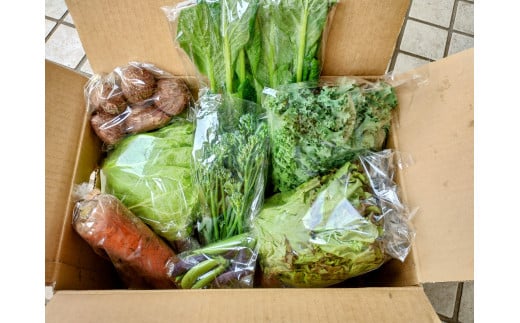 èš³ãã æ¬ ã® éèã»ãã 8å çš®é¡ããŸãã æ¬ éè ããã yasai ã€ãµã€ éèã»ãã ãããã»ãã æ¬ã®éè ãéè å¥åº· ææš¹ æ œå¹ èªç¶ æ¥éè å€éè ç§éè å¬éè äžæã ããŸãã èš³ã¢ãª èš³ããå ãããã èš³æ ã¯ã±ã¢ãª æ°ééå® èŸ²å®¶çŽé ç£å°çŽé 10000å ç¥å¥å· æ¹å è€æ²¢