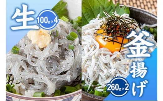 生しらす 釜揚げしらす 計920g 260g × 2 パック 100g × 4 パック シラス 魚 釜揚げ 生 湘南しらす sirasu じゃこ ちりめん しらす干し 江の島しらす イワシ 小分け 便利 手軽 海鮮 新鮮 魚介 魚貝 小魚 冷凍 セット 贈答 江の島 江ノ島 とびっちょ 神奈川 湘南 藤沢