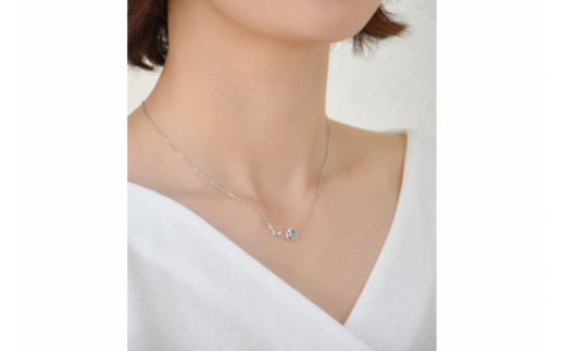 Blue Rose Pt ãããŒãº ããã¯ã¬ã¹ ã¬ãã£ãŒã¹ ãžã¥ãšãªãŒ ã¢ã¯ã»ãµãªãŒ pt950 ãã³ãã³ã ãšã±ãŒã ãã«ãŒãããŒãº ã·ã³ãã« äžç¹ãã® ãããã ãããã ãã¬ãŒã³ã ã®ãã èŽãç© SERENDIPJEWEL æ ªåŒäŒç€Ÿèç ç¥å¥å· æ¹å è€æ²¢