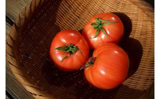 å®çããããžã¥ãŒã¹ ( 720mL à 2æ¬ ) ããã å®çããã tomato æ¿å ãã£ã±ã éè ããã æç© ãã«ãŒã çã ãªã³ãã³ ãã¿ãã³C ãã çŸå®¹ çŸè å¥åº·é£å æ°é®® æ é€ å
ç« ãµã©ã çé
ž æç ã¢ã¬ã³ãž äººæ° é£å¡©äžäœ¿çš æ·»å ç©äžäœ¿çš äºåºèŸ²å ç¥å¥å· æ¹å è€æ²¢