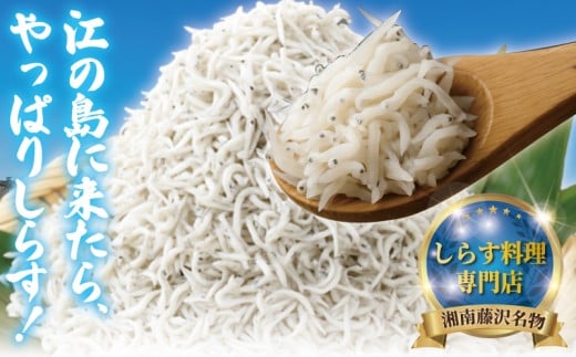 江の島 とびっちょ お食事券 優先予約券付 4名様 大人2名 子ども2名 1枚 ファミリー 海鮮 魚 さかな しらす シラス 丼  貝 サザエ ハマグリ みそ汁 新鮮 魚介 釜揚げしらす 生しらす 江ノ島 食事券 チケット 人気 観光 旅行 トラベル ランチ ディナー 昼食 夕食 神奈川 湘南 藤沢