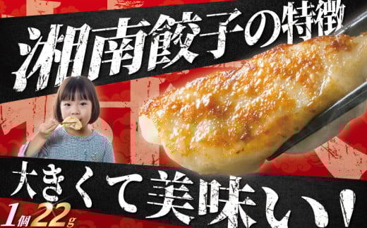 ぎょうざ 餃子 25個 春巻き 10本 ラーメン 1食  冷凍餃子 生餃子 冷凍 手作り 焼き餃子 冷凍食品 中華 セット 詰合せ 春巻 ギョーザ らーめん ギョウザ はるまき 肉汁 大きい 旨い 小分け パック 豚肉 ぶた 野菜 gyouza おかず 夕食 簡単調理 時短 ご飯 中華料理 神奈川 湘南 藤沢