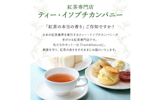  スコーン 12個 セット 2種 ( プレーン 6個 アールグレイ 6個 ) 焼き菓子 お菓子 焼菓子 おやつ 洋菓子 デザート スイーツ 人気 発酵 バター コク 風味 すこーん 常温 ミルクティー 手土産 ギフト プレゼント 手作り 紅茶 茶 専門店 ティー イソブチカンパニー 神奈川 湘南 藤沢