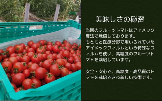 ãã«ãã£ã« ãã«ãŒãããã é«ç³åºŠ 3.6kgïœ5.4kg ããããã ããã å®ç é«å質 çã æ¥µäž æšå³ ãšãŸãš ãã tomato éè ããã yasai ããŠã¹ããã ããŠã¹æ œå¹ ãµã©ã ãã¿ãã³ C ãªã³ãã³ çŸè çŸå®¹ å¥åº· é£ç©ç¹ç¶ ç£å°çŽé åœç£ ç¥å¥å· æ¹å è€æ²¢