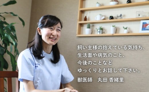 ペットカウンセリング 60分予約券 動物 ペット ぺっと 飼育 しつけ 獣医 カウンセリング かうんせりんぐ 悩み 相談 ケア オーダーメイド アドバイス 犬 いぬ 猫 ねこ ウサギ うさぎ ハムスター はむすたー アニマルライフパートナー株式会社 神奈川 湘南 藤沢