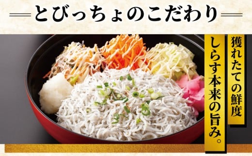 æ±ã®å³¶ ãšã³ã£ã¡ã ãé£äºåž ã㢠2åæ§ åªå
äºçŽåžä» 1çµ 1æ æµ·é®® é ãã㪠ããã ã·ã©ã¹ 䞌 ãµã¶ãš ããã°ãª æ°é®® éæãããã çããã æç siras æ±ãå³¶ ãã¢é£äºåž ãã¢ãé£äºåž é£äºåž ãã±ãã äººæ° èŠ³å
æ
è¡ ãã©ãã« ã©ã³ã ãã£ã㌠æŒé£ å€é£ ç¥å¥å· æ¹å è€æ²¢