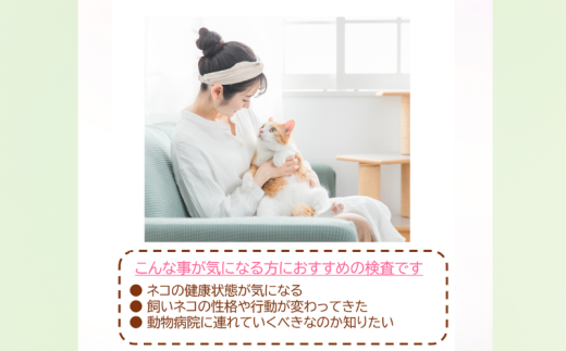 獣医師監修 ネコ体毛ホルモン量測定キット ～コルチゾール～ ネコの慢性ストレスチェック ホルモン量 測定キット 簡単測定 検査キット 簡易 検査 自宅 簡単 送るだけ 健康チェック ストレスチェック ネコ 猫 ペット 家族 株式会社あすか製薬メディカル 神奈川 湘南 藤沢