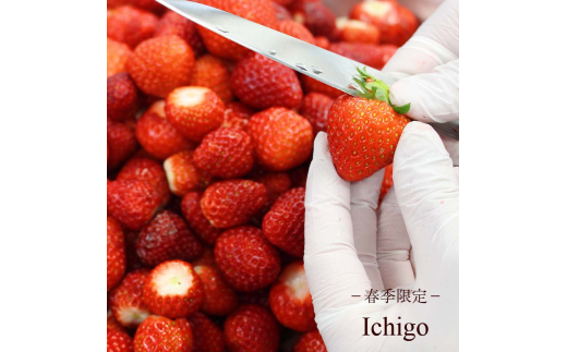 あいす アイスクリーム 130ml × 6個 季節おすすめ セット アイスセット 手作り アイス ice aisu ドルチェ 旬 季節 おすすめ オススメ お楽しみ フレーバー 食べ比べ スイーツ デザート 冷凍 ジェラート ソフトクリーム Hilo Homemade Ice Cream 神奈川 湘南 藤沢